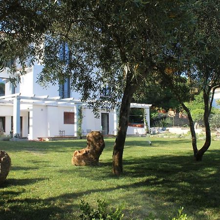 Villa La Conchiglia Rooms Cala Liberotto Eksteriør billede