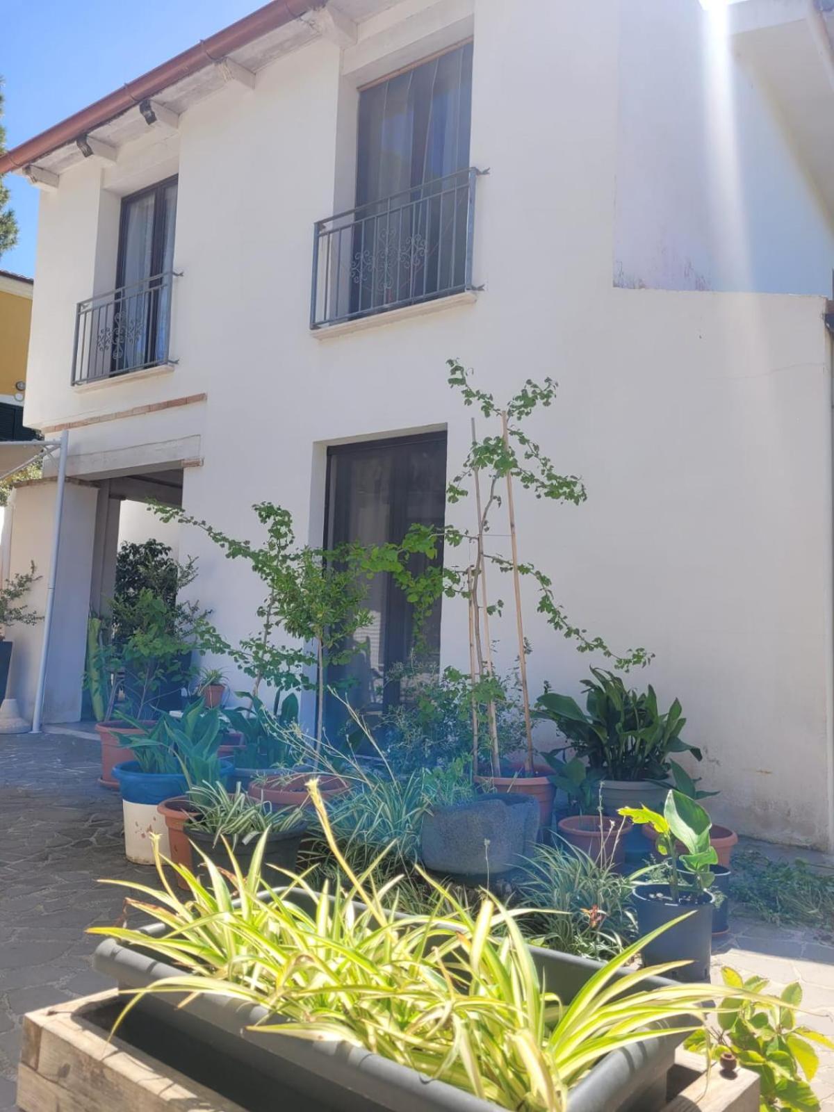 Villa La Conchiglia Rooms Cala Liberotto Eksteriør billede