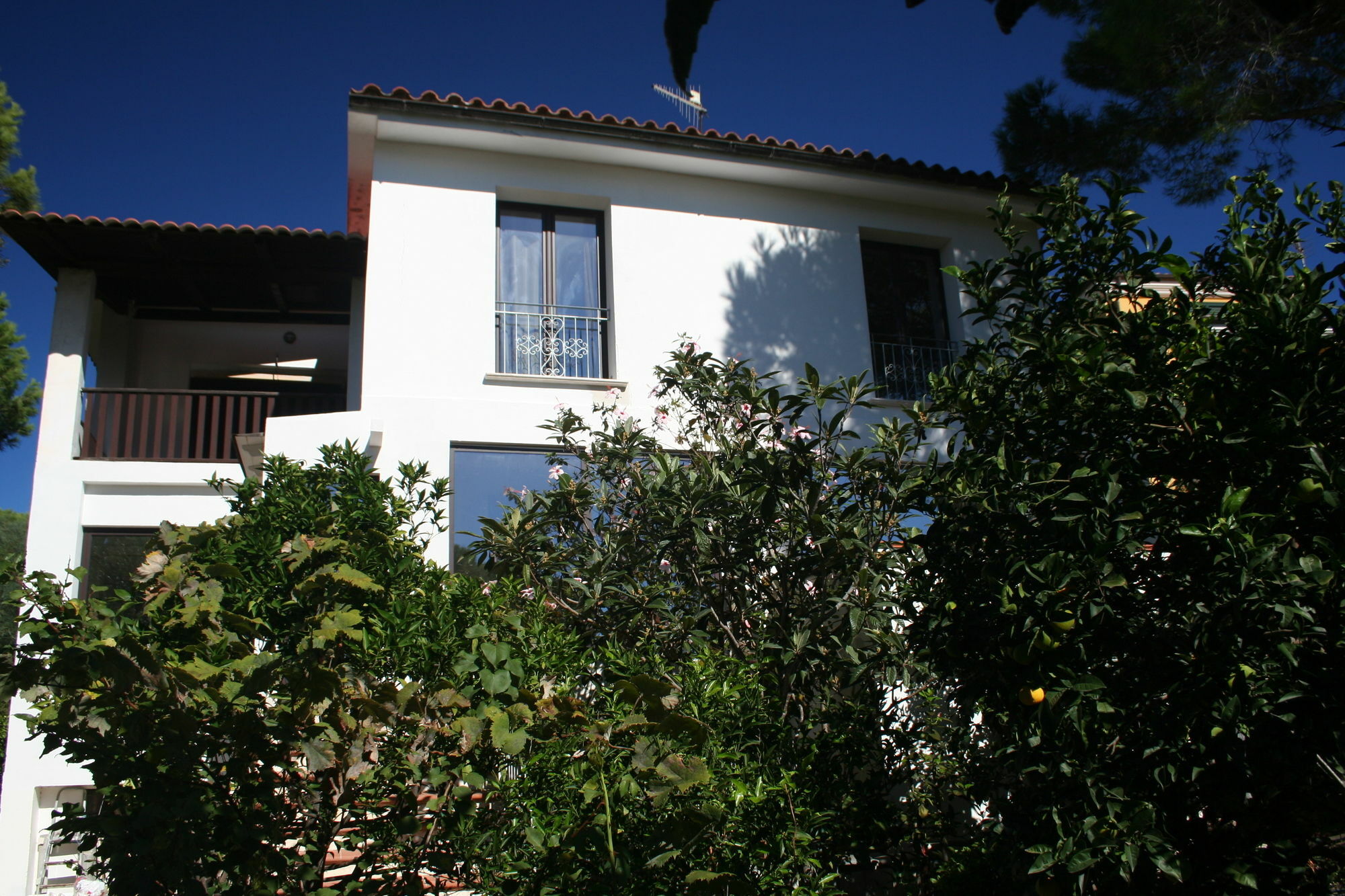 Villa La Conchiglia Rooms Cala Liberotto Eksteriør billede